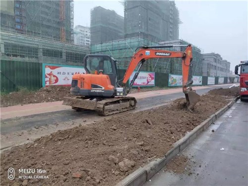 阜陽市潁泉區循環園區路網PPP項目新建道路綠化工程