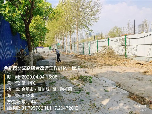 合肥市翡翠路（312國道-方興大道）綜合改造綠化工程1標段